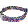 Country Brook Petz Premium Dog Collar - Groovy Collection -Pet Supplies Online GUEST 10e11ad6 bc8d 4a97 b578 3d54c7069afe