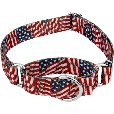 Country Brook Petz Patriotic Tribute Martingale Dog Collar 9 Country Brook Petz Patriotic Tribute Martingale Dog Collar - Image 7