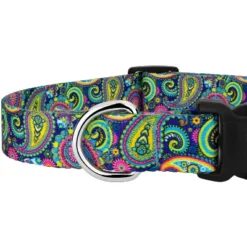 Country Brook Petz Deluxe Bright Paisley Dog Collar And Leash -Pet Supplies Online GUEST 11457862 b3a6 4bc0 9143 74d97104e825