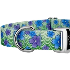 Country Brook Petz Premium Dog Collar - Spring Collection -Pet Supplies Online GUEST 116a1c10 4efd 45b5 a2b6 3c82419a05a8