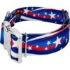 Country Brook Petz 1 1/2 Inch Premium Star Spangled Dog Collar 1 Country Brook Petz 1 1/2 Inch Premium Star Spangled Dog Collar -Pet Supplies Online GUEST 116d9db5 509b 43b8 afb0 64e871e633a0