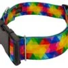 Country Brook Petz 1 1/2 Inch Deluxe Kaleidoscope Dog Collar