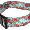 Country Brook Petz 1 1/2 Inch Deluxe Vintage Roses Dog Collar -Pet Supplies Online GUEST 1224479e f72e 4317 a653 fedea58f0972
