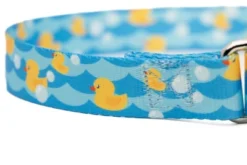 Country Brook Petz Just Ducky Martingale Dog Collar -Pet Supplies Online GUEST 126d2187 19aa 4688 9c94 c356c818f1f6