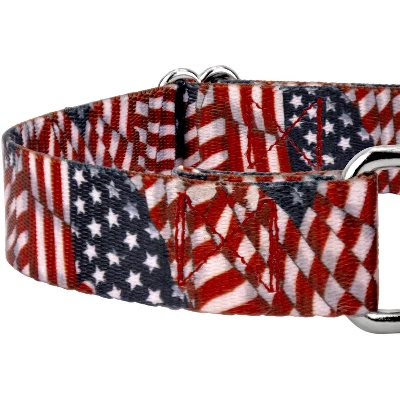 Country Brook Petz Patriotic Tribute Martingale Dog Collar 8 Country Brook Petz Patriotic Tribute Martingale Dog Collar - Image 6