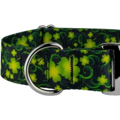 Country Brook Petz HossFit Jr Wide Premium Dog Collar - Irish Pride Collection -Pet Supplies Online GUEST 13ec42da 8280 4112 8941 b5e67cbf5b9d