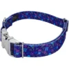Country Brook Petz Premium Dog Collar - Floral Collection -Pet Supplies Online GUEST 14f36020 9705 4915 b09c acc61d8d9254