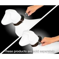 Country Brook Petz - 1 Inch Nylon Dog Leash -Pet Supplies Online GUEST 158b400a 69ae 4677 8ac1 6817e7a9af58