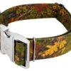 Country Brook Petz 1 1/2 Inch Premium Southern Forest Camo Dog Collar