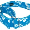 Country Brook Petz 1 1/2 Inch Blue Hawaiian Martingale Dog Collar