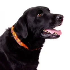 Country Brook Petz Orange Sunset Camo Martingale Dog Collar -Pet Supplies Online GUEST 1739dc87 3139 4c7c a42d 5f80a5368c4d 1