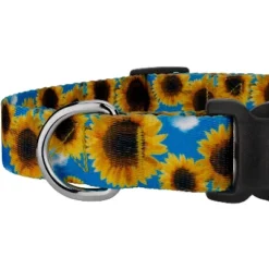 Country Brook Petz Deluxe Dog Collar - Floral Collection -Pet Supplies Online GUEST 177bd8fa ac5c 4ff5 89c2 c13f7ed3455e