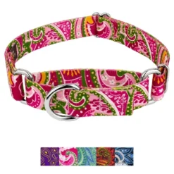 Country Brook Petz Martingale Dog Collar - Paisley Collection -Pet Supplies Online GUEST 19057044 c49c 40a6 b971 e0b5f0001531