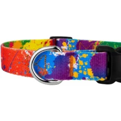 Country Brook Petz Deluxe Dog Collar - Groovy Collection -Pet Supplies Online GUEST 1930ffc7 c43d 4c66 a523 940d55128cb9