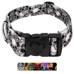 Country Brook Petz HossFit Jr Wide Deluxe Dog Collar - Halloween Collection -Pet Supplies Online GUEST 19b44fc8 aa62 45cc b920 56c300cf002d