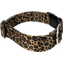 Country Brook Petz HossFit Jr Wide Deluxe Dog Collar - Animal Print Collection -Pet Supplies Online GUEST 19e403be 08b2 4c28 9bbc e2a33ff48b6f