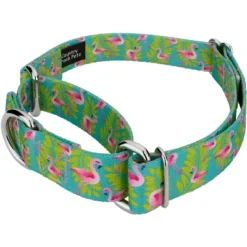 Country Brook Design - Flamingos Martingale Dog Collar -Pet Supplies Online GUEST 19e5350e 6f97 4a34 a359 8f78530c4ee7