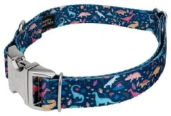 Country Brook Petz Premium Dinosaurs Dog Collar -Pet Supplies Online GUEST 1a4c3292 4d4f 4db6 8ac2 8e5537dd4b33