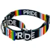 Country Brook Petz Pride Martingale Dog Collar -Pet Supplies Online GUEST 1a566973 1bac 4b46 867c 07eefc3c0d3c