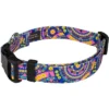 Country Brook Petz Blue Boho Mandala Deluxe Dog Collar And Leash -Pet Supplies Online GUEST 1a7031bf 981b 44b4 bf2e f1da0197d929