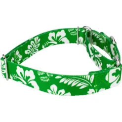 Country Brook Petz Kelly Green Hawaiian Martingale Dog Collar 11 Country Brook Petz Kelly Green Hawaiian Martingale Dog Collar -Pet Supplies Online GUEST 1aa2df7f 2405 4f13 9734 37db7461b3f9