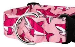 Country Brook Petz 1 1/2 Inch Deluxe Pink Sharks Dog Collar -Pet Supplies Online GUEST 1ae22454 ab0f 4c3d a1a5 3c158265552e
