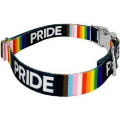 Country Brook Petz Premium Pride Dog Collar And Leash -Pet Supplies Online GUEST 1bae7a4f b8bd 4bb9 a851 7ee914148423