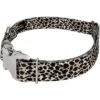 Country Brook Petz Premium Cheetah Dog Collar