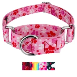 Country Brook Petz Martingale Dog Collar - Affection Collection -Pet Supplies Online GUEST 1c2dd573 63d8 4b18 8fb8 a1f203656882