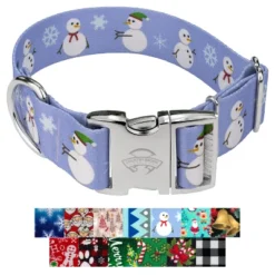 Country Brook Petz HossFit Jr Wide Premium Dog Collar - Christmas Collection -Pet Supplies Online GUEST 1ce75435 8550 41b3 a100 3df0568ed566
