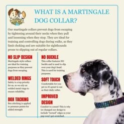 Country Brook Petz HossFit Jr Wide Martingale Dog Collar - Chevron And Arrows Collection -Pet Supplies Online GUEST 1d1b27d0 6fc2 4740 84e9 81e94eea5488