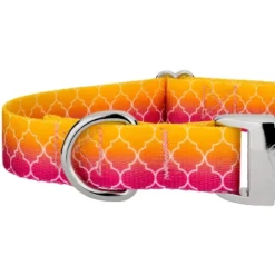 Country Brook Petz Premium Fabulous Ombre Dog Collar -Pet Supplies Online GUEST 1d3aecf9 2959 4498 9a96 cc0e9bd5a498