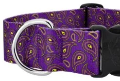 Country Brook Petz 1 1/2 Inch Deluxe Purple Paisley Dog Collar -Pet Supplies Online GUEST 1d3c2c3d 0f5d 433e 903d 519f88b13754