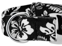 Country Brook Petz 1 1/2 Inch Premium Black Hawaiian Dog Collar -Pet Supplies Online GUEST 1dadb258 41a3 4ae4 953e c7f08e97cad0