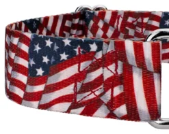 Country Brook Petz 1 1/2 Inch Patriotic Tribute Martingale Dog Collar -Pet Supplies Online GUEST 1e4f9000 b27b 45f1 af82 31cae5c09ec4