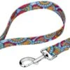 Country Brook Petz Sky Mandala Dog Leash (6 Foot, 1/2 Inch Wide)