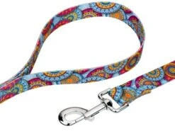 Country Brook Petz Sky Mandala Dog Leash (4 Foot, 1 Inch Wide)