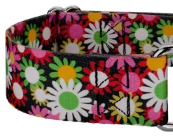 Country Brook Petz 1 1/2 Inch Daisy Fields Martingale Dog Collar -Pet Supplies Online GUEST 1e77fd8d 68b0 4002 b319 8cdc57ab91e9