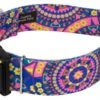 Country Brook Petz 1 1/2 Inch Deluxe Blue Boho Mandala Dog Collar -Pet Supplies Online GUEST 1e8fdcbb ed90 4673 8d30 d188fe0c46b4
