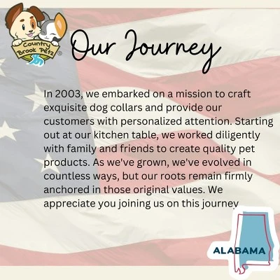 Country Brook Petz Deluxe Dog Collar - Chevron And Arrows Collection - Made In The U.S.A. 6 Country Brook Petz Deluxe Dog Collar - Chevron And Arrows Collection - Made In The U.S.A. - Image 4