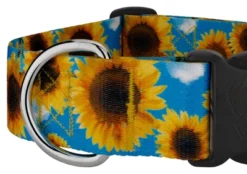 Country Brook Petz 1 1/2 Inch Deluxe Sunflowers Dog Collar -Pet Supplies Online GUEST 1f294997 12ce 4443 b1f8 45e8454b905c