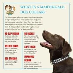 Country Brook Petz HossFit Wide Martingale Dog Collar Collection -Pet Supplies Online GUEST 1f430858 0007 4ce4 924f 60c5af817f58