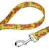 Country Brook Petz Tropical Floral Dog Leash (6 Foot, 1/2 Inch) -Pet Supplies Online GUEST 1f580f87 3f4d 4697 aade ba9adccdb2bf 2
