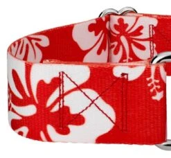 Country Brook Petz 1 1/2 Inch Red Hawaiian Martingale Dog Collar -Pet Supplies Online GUEST 1fea6537 b819 41a1 af06 760c0037166e