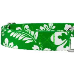 Country Brook Petz Kelly Green Hawaiian Martingale Dog Collar 12 Country Brook Petz Kelly Green Hawaiian Martingale Dog Collar -Pet Supplies Online GUEST 2052b555 3dd8 4124 b66f ba8934e227fa