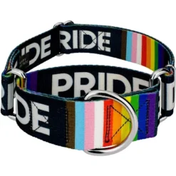 Country Brook Petz 1 1/2 Inch Pride Martingale Dog Collar 13 Country Brook Petz 1 1/2 Inch Pride Martingale Dog Collar -Pet Supplies Online GUEST 21b75489 6214 4166 9bf7 3c2e2d8a88c0