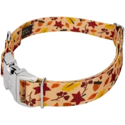 Country Brook Petz Premium Fall Foliage Dog Collar And Leash -Pet Supplies Online GUEST 22778477 9075 443c b968 f34e6f327911 1
