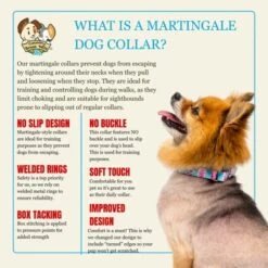 Country Brook Petz HossFit Jr Wide Martingale Dog Collar - Country And Western Collection -Pet Supplies Online GUEST 228a6a33 7ba0 4fac 8f29 e938d1212733