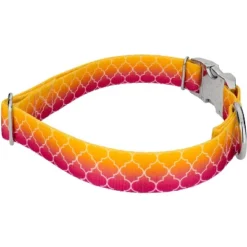 Country Brook Petz Premium Fabulous Ombre Dog Collar -Pet Supplies Online GUEST 22a22c87 ff57 429e aad2 e68f8a7d23be