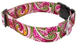 Country Brook Petz 1 1/2 Inch Deluxe Pink Paisley Dog Collar -Pet Supplies Online GUEST 22bd21e9 55f8 4331 a862 dde945a752cc